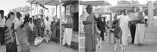 நேர்த்திக்கடனாக... அரிசி, வெல்லம், பருப்பு, பயறு!