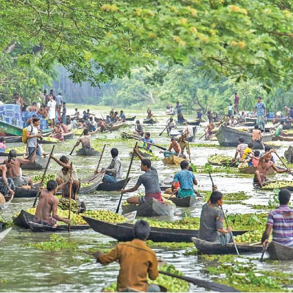 மண்புழு மன்னாரு: டெல்டாவில் விளையும் கொய்யா... வழிகாட்டும் வங்கதேசம்!