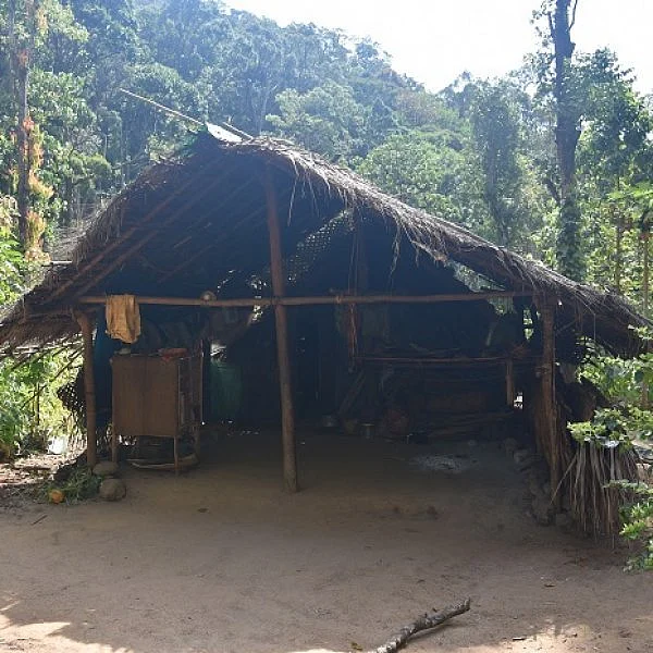 கூடலூர் பழங்குடிகள்