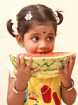கோடை காலப் பராமரிப்பு