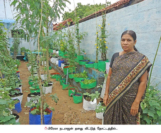ஆஸ்பத்திரி செலவைக் குறைக்கும் வீட்டுத்தோட்டம்!