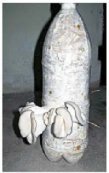 நீங்கள் கேட்டவை