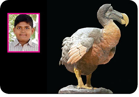 சுட்டி ஸ்டார் நியூஸ்