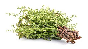 ஆறாம் திணை - 85