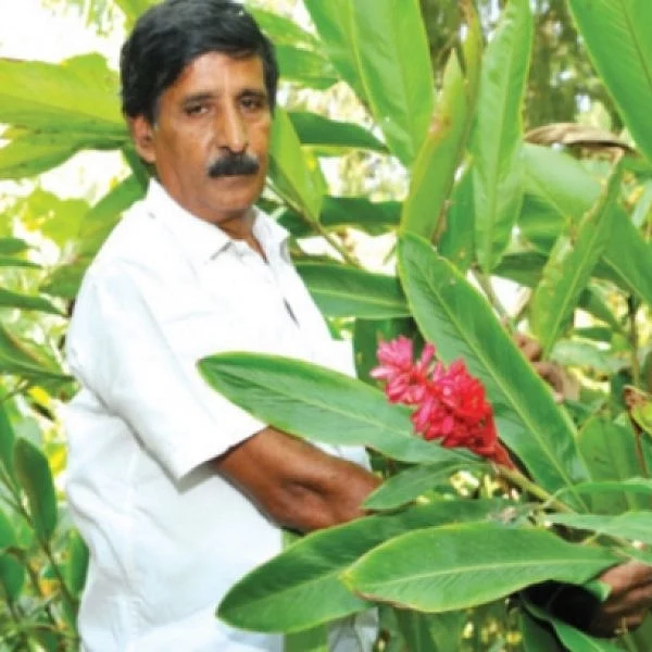 70 Bags of paddy in an acre...A Success story of Nagarathina Naidu! - (Part 2)