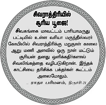 பிட்ஸ்
