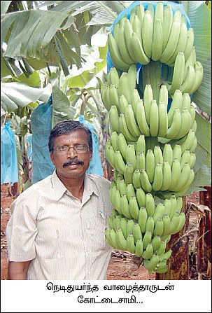 ஏக்கருக்கு 2 லட்சத்து 91 ஆயிரம் ரூபாய்...
