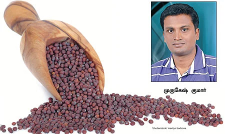 அக்ரி கமாடிட்டி!