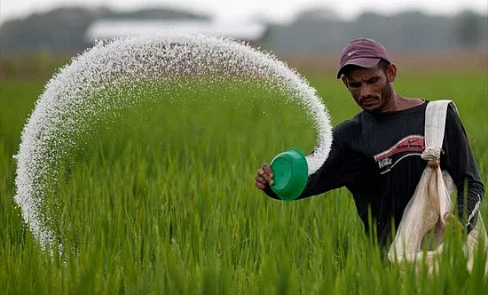 மேகியில் மட்டும்தான் விஷமா....மற்றதெல்லாம் அமுதமா?