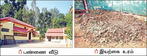 அமெரிக்க வாழ் இந்தியரின் ஆத்மார்த்த விவசாயம்...