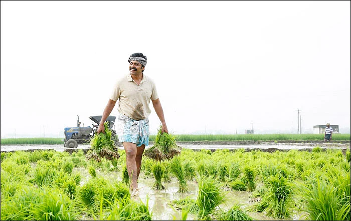 "சூர்யா, கார்த்தி ஒரே படத்தில்!”