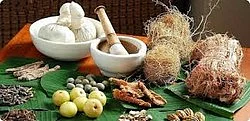 மகத்துவம் நிறைந்த மூலிகை மருத்துவம்!