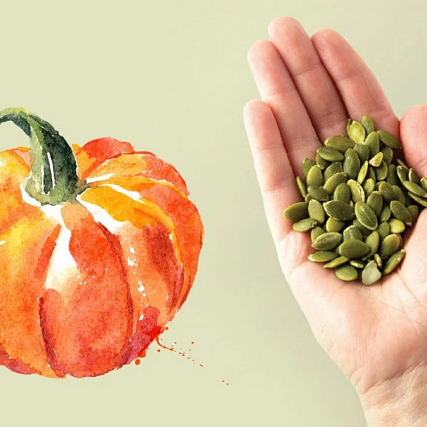 Doctor Vikatan - 16 May 2019 - இதயக் கோளாறுகள் தவிர்க்கும் பூசணி விதை! | pumpkin seed benefits for health - Doctor Vikatan