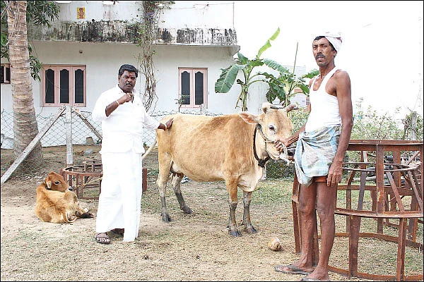 ஆத்தூர் கிச்சிலிச் சம்பாவில் அசத்தல் லாபம்!