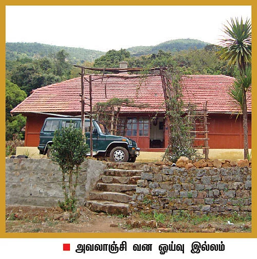 அவலாஞ்சிக்கு அவசியம் வாங்க! - சுற்றுலா