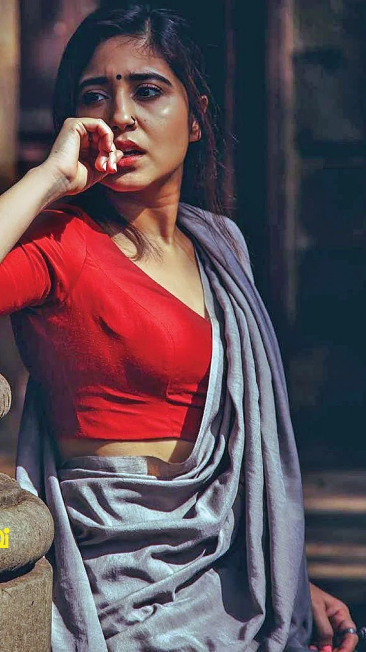 மிஸ்டர் மியாவ்