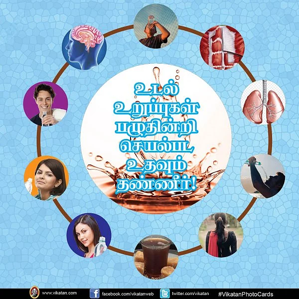உடல் உறுப்புகள் பழுதின்றி செயல்பட உதவும் தண்ணீர்! #VikatanPhotoCard