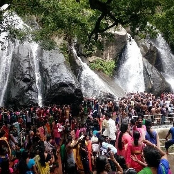 அழுதுகொண்டிருக்கும் சிற்றாறு - ஒரு அவலக் கதை