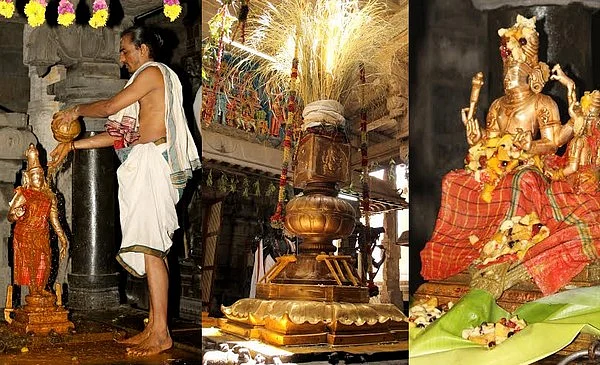 நெல்லையப்பர் கோயிலில் ஆனித் தேரோட்ட திருவிழா! (படங்கள்)