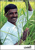 ஒன்றரை ஏக்கர்... 4 மாதம்... 70 ஆயிரம் ரூபாய்...
