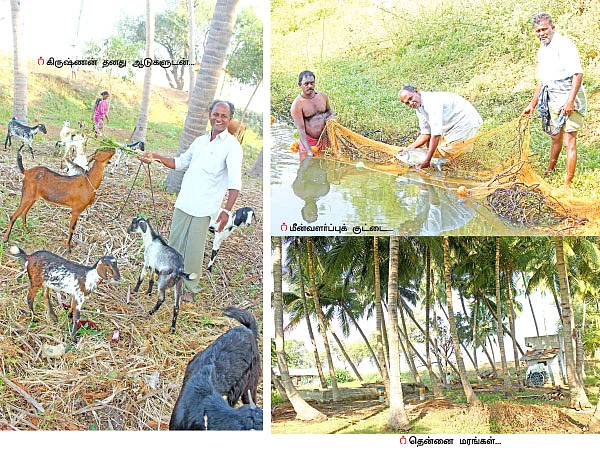 50 சென்ட்... ஆண்டுக்கு ரூ 2 லட்சம் லாபம்!