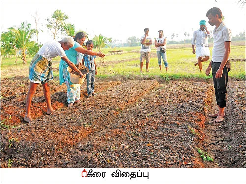 ஒரு நாள் விவசாயி! பருவம் 2 - பண்ணையை நோக்கி பயனுள்ள பயணம்