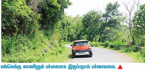 “நாங்கள் இப்போ பச்சைமலைப் பூக்கள்!”