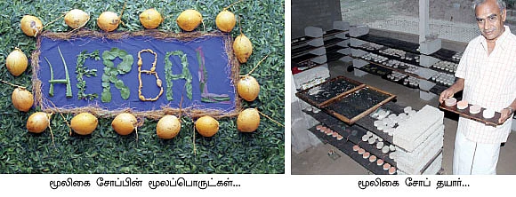 ஆயுளைக் கூட்டும் ஆரோக்கிய வனம்...