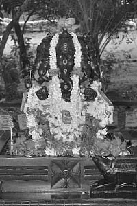 சக்தி சங்கமம்