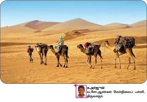சுட்டி ஸ்டார்ஸ் நியூஸ்