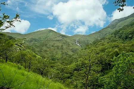 புலிகளை கொல்லாதீங்க!
