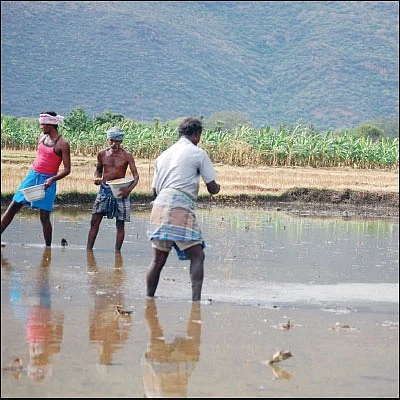 எஸ்எம்இ-களுக்கும், விவசாயிகளுக்கும் என்ன பயன்?