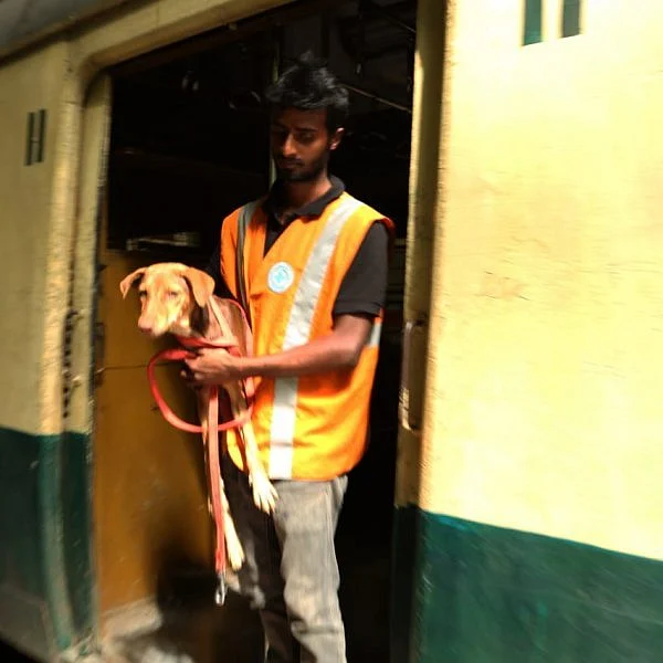10 மணி நேரம் சென்னை மின்சார ரயிலில் பயணித்த நாய் - மீட்டது எப்படி?