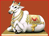 வாசகர் தகவல்கள்