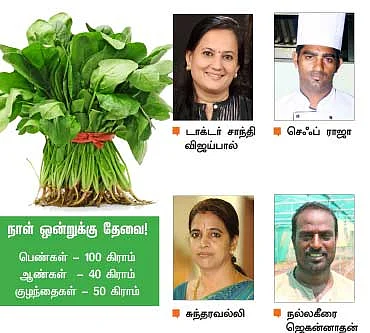 தினம் ஒரு கீரை! ஒரு கம்ப்ளீட் கைடு