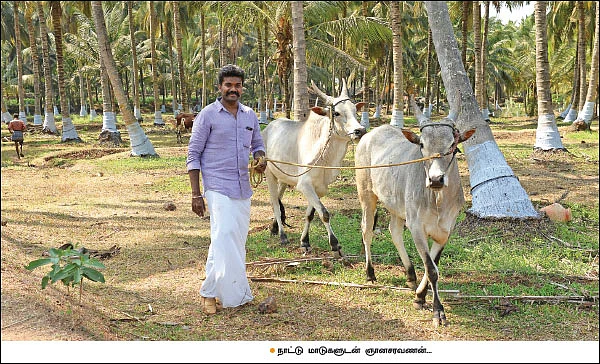 ஆண்டுக்கு ரூ. 50 லட்சம் லட்சியம்... ரூ. 27 லட்சம் நிச்சயம்... அசத்தும் 37 ஏக்கர் இயற்கைப் பண்ணை...