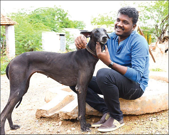 `ஆனந்த விகடன் விருதுகள் 2018’ - 5 நிமிடத்தில் 8 விஷயங்களுடன் வாசிப்பனுபவம்!