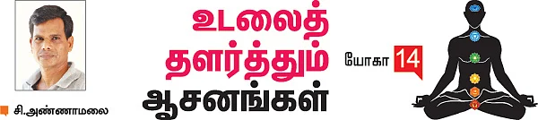 உடலைத் தளர்த்தும் ஆசனங்கள்