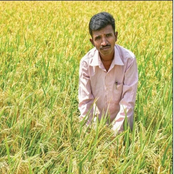 Agri university professors experience with cattle manure based organic farming... super returns