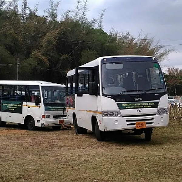 பார்க்கிங்
