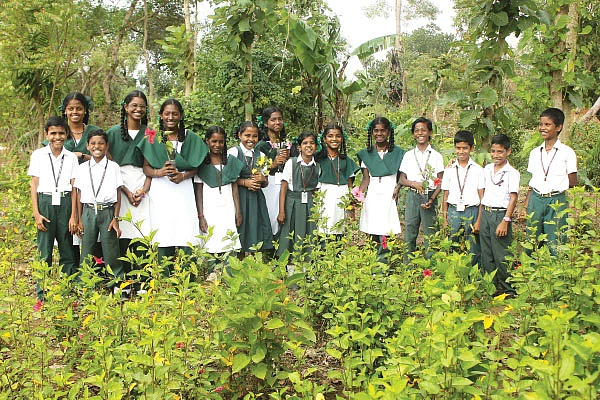 கிரீன் சல்யூட்!