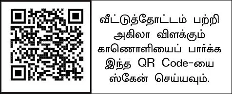 தினமும் ஒரு காய்... ஒரு கீரை!