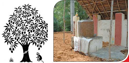 மகத்தான வரங்கள் தரும் மாமரம்!
