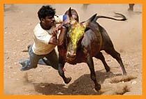 வலையோசை - சித்திரவீதிக்காரன்