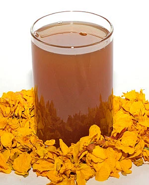 கோடை காலப் பராமரிப்பு