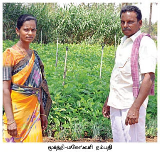 25 சென்ட்... 5 மாதம்...1 லட்சம் !