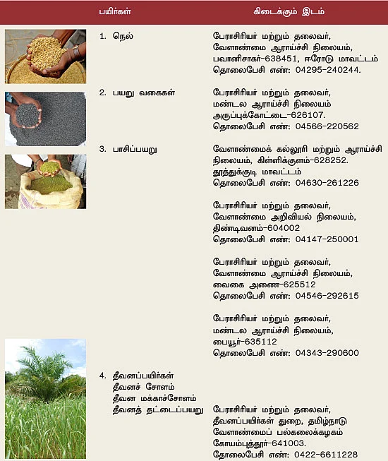 நீங்கள் கேட்டவை: தீவனச்சோள விதைகள் எங்கு கிடைக்கும்?
