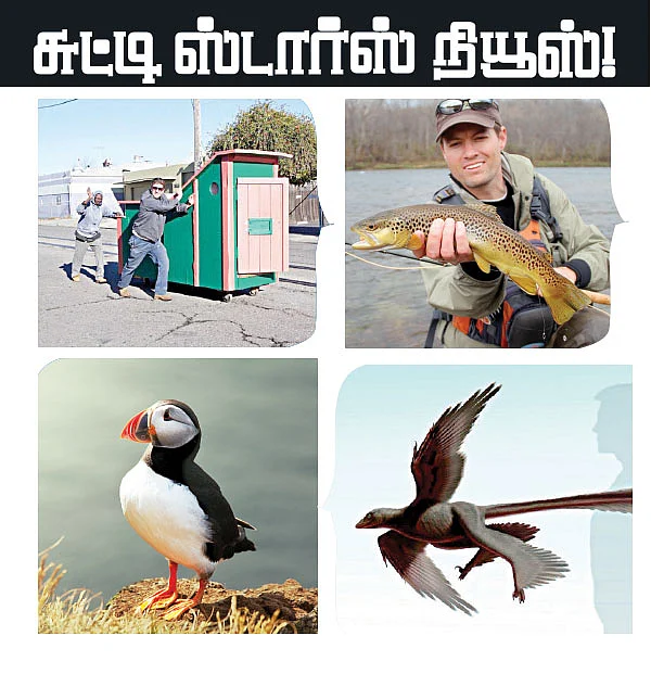 சுட்டி ஸ்டார் நியூஸ்
