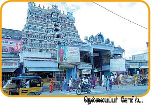 ஜோரா போகலாம் ஜாலி டூர்!