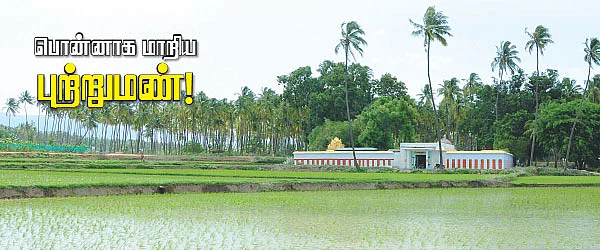 பொன்னாக மாறிய புற்றுமண்!